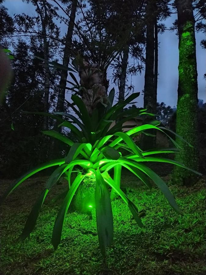 Chalé Descanso na Serra Monte Verde  Exteriér fotografie