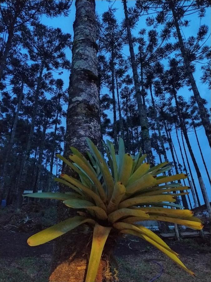 Chalé Descanso na Serra Monte Verde  Exteriér fotografie